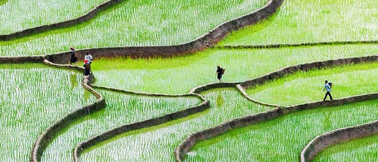 SG飞艇·(中国区)-电子竞技平台