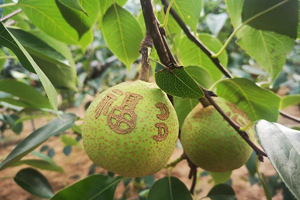 SG飞艇·(中国区)-电子竞技平台